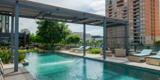 Aster Aster Gallery 6