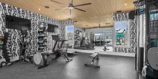 Alaina Park Gallery 15