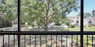 4819 Puritan Circle Gallery 42