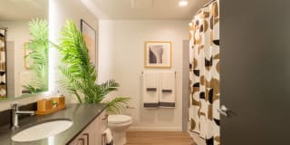Modera River Trail Gallery 8