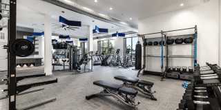 The Warner Gallery 15