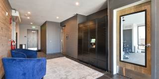 The Serene Gallery 8