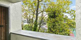 West Seattle Flats Gallery 21