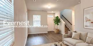 218 Lee Street Gallery 3