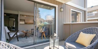 Sofi Berryessa Gallery 17