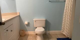 FULLY FURNISHED - Peaceful 4 Bed / 2 Bath Condo Gallery 8