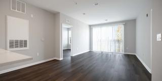 Harbor Pointe Gallery 60