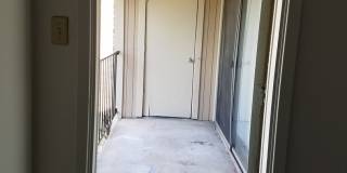 Forest Ridge Gallery 116