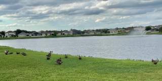 13676 Hawk Lake Drive Gallery 9