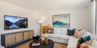 230 Palm Drive Gallery 5