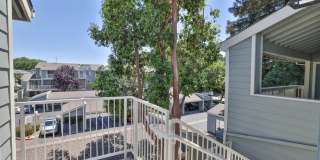 3651 Knollwood Ter Apt 3113 Gallery 16