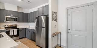 The Belle at the Lamar Gallery 64