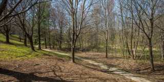 921 HILLSIDE LAKE TER #304 Gallery 12