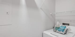 Terra at Portola Park Gallery 11