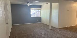Spacious 4-Bedroom Home with Finished Basement & Large Backyard! Gallery 19