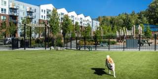 Avalon Bothell Commons Gallery 58