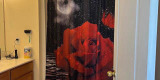 95 ROOSEVELT Boulevard Gallery 22