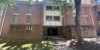 3511 Ivy Commons Drive Gallery 1