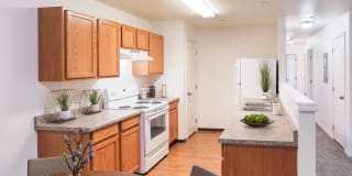 Canyon View Gallery 1