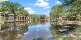 8641 FANCY FINCH DRIVE Gallery 23