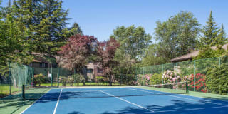 Hunt Club Gallery 20