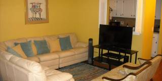 259 Sussex M Gallery 3