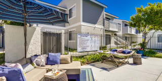 Newport Seacrest Apartments Gallery 26