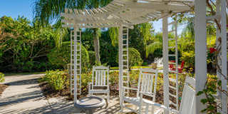 Imperial Palms Gallery 37