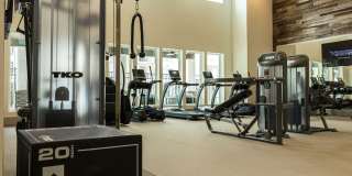 Aspire at Sherman Gallery 8