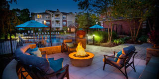 Lake Clearwater Gallery 4