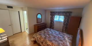 2601 NE 3rd Court Gallery 8