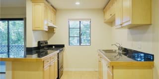 32221 N ALIPAZ Street Gallery 4