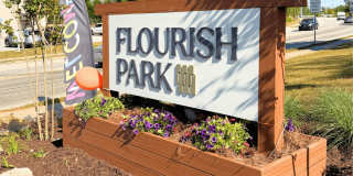 Flourish Park Gallery 6