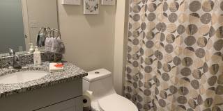 ALMOST NEW 3/2 HOME close to everything!!  BEAUTIFUL WITH LOTS OF UPGRADES! Gallery 12