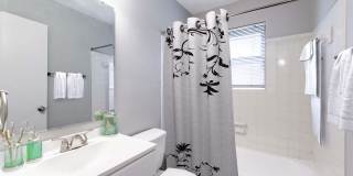 Maplewood Apartments Gallery 15