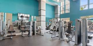 Mallory Square Gallery 14