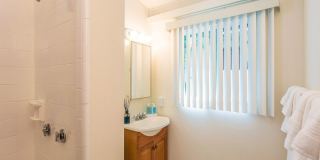 Historic Home+guest cottage in Kahala near the Beach w/Pool & AC: Ho'okipa Villa Gallery 16