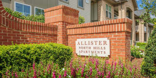 Allister North Hills Gallery 39