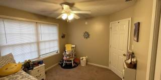 2636 E Olson Drive Gallery 13