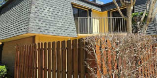 3824 SAXON DRIVE Gallery 1