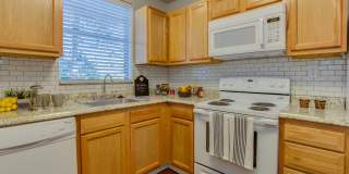 Canyon Square Gallery 5