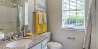 North Creek Apartments Gallery 12