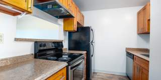 Marina Vista Gallery 1