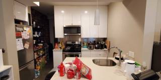 Check out this 5 bed 2 bath in Allston..... Gallery 8