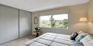 3338 Punta Alta Gallery 9