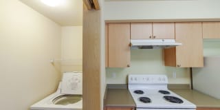 Palermo at Lakeland Gallery 23