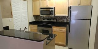 Palms of Clearwater Gallery 43