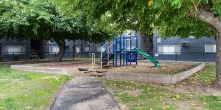 Prospera Village Gallery 33