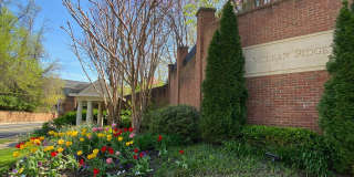 7449 CARRIAGE HILLS Drive Gallery 22