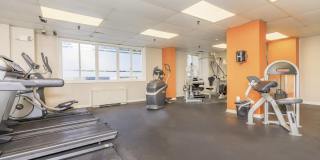 Ashton Heights Gallery 18